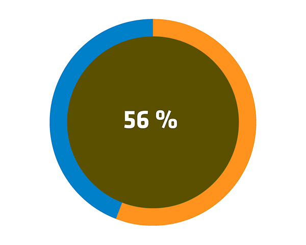 Kreisdiagramm mit 56 Prozent