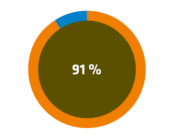 Kreisdiagramm mit 91 Prozent