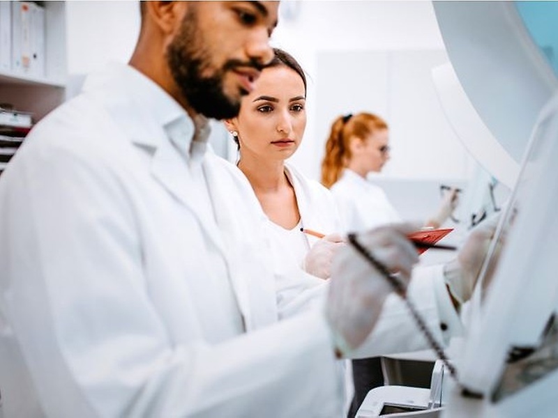 Employees of a laboratory
