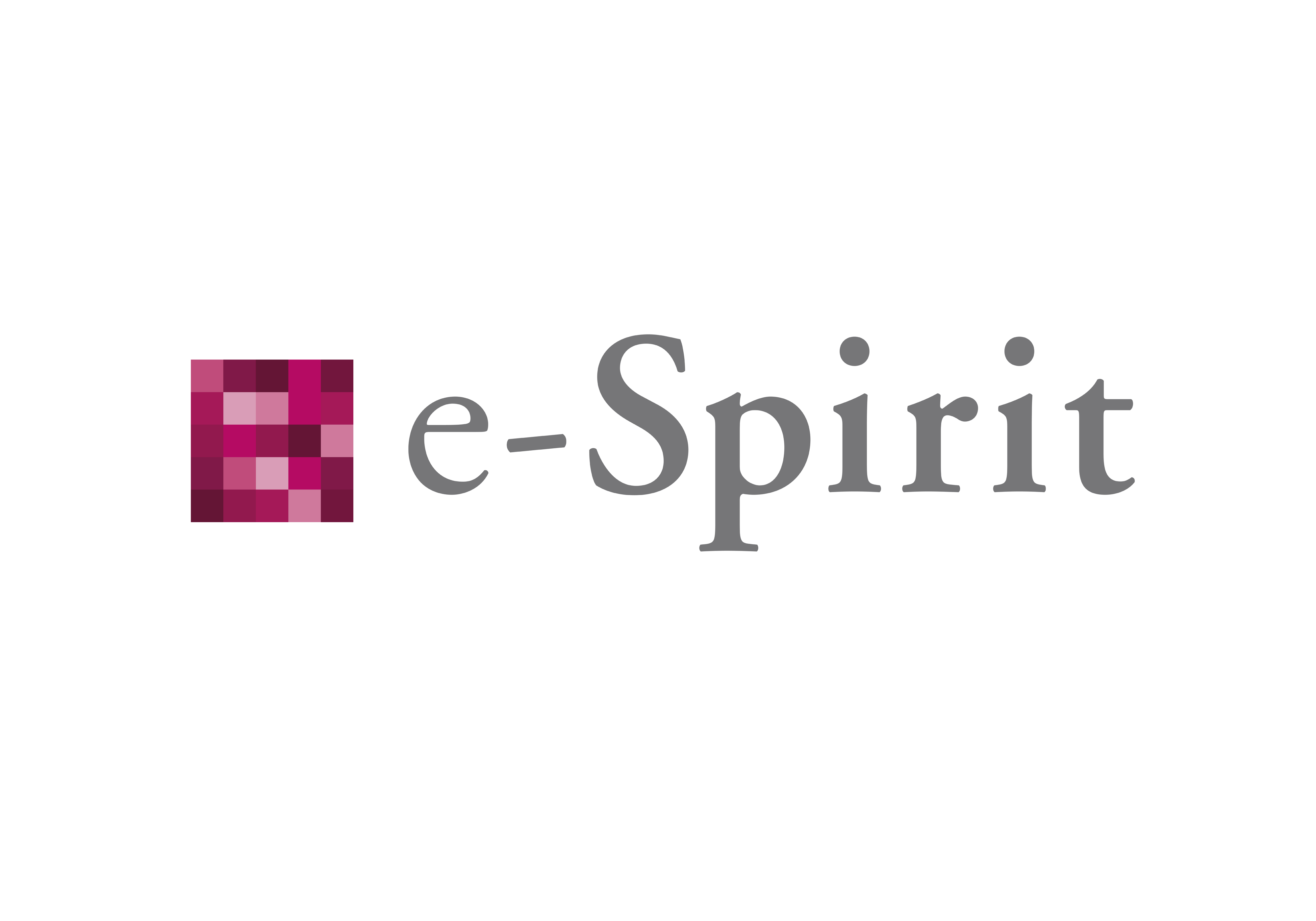 E-Spirit