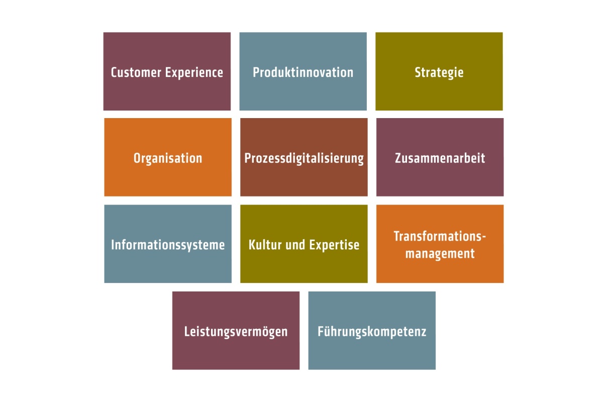 Dimensions of the Digital Maturity Check