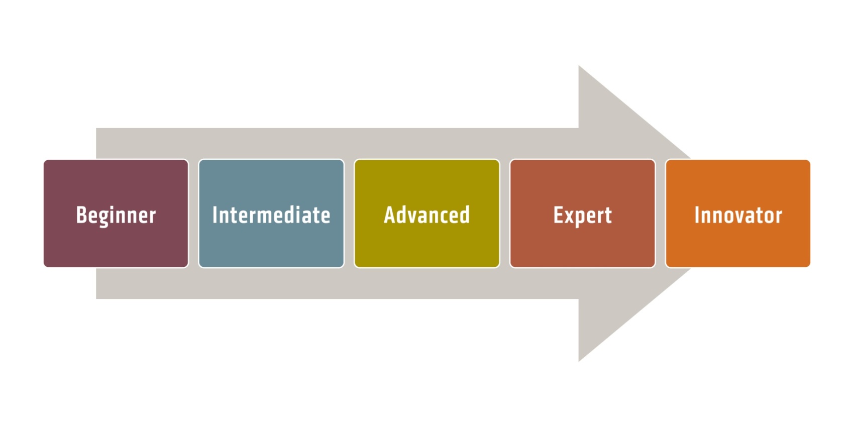 The five maturity levels at a glance