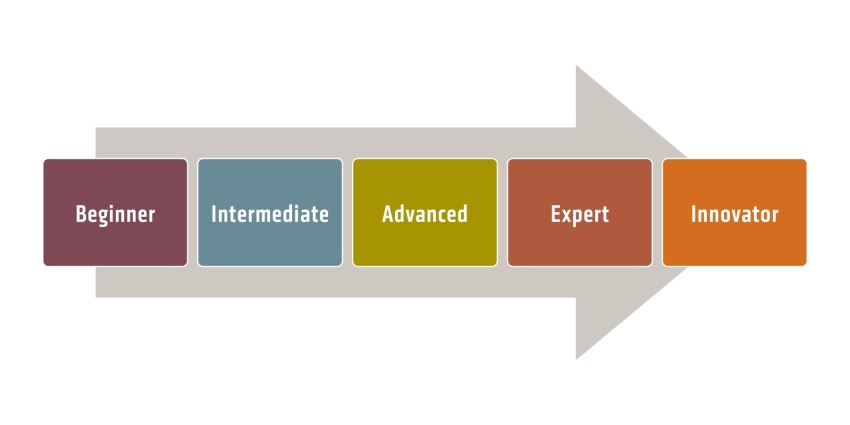 The five maturity levels at a glance