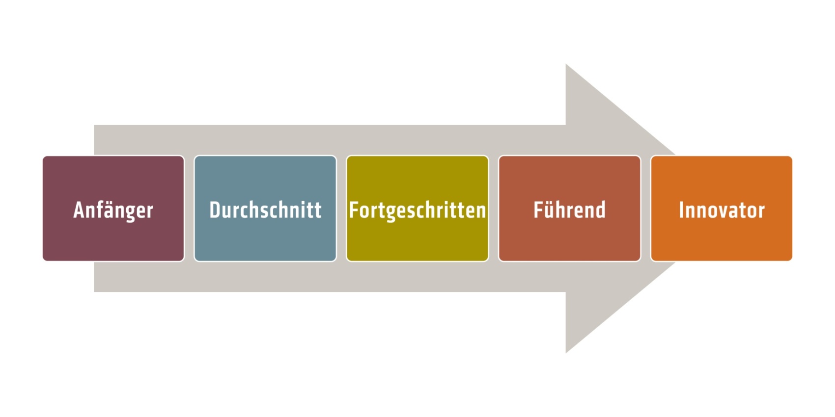 Die fünf Reifegrade im Überblick