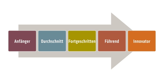 Die fünf Reifegrade im Überblick Die fünf Reifegrade im Überblick