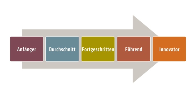 Die fünf Reifegrade im Überblick