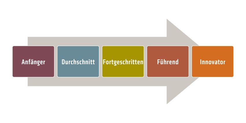 Die fünf Reifegrade im Überblick