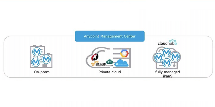 Das Anypoint Management Center, Quelle: MuleSoft