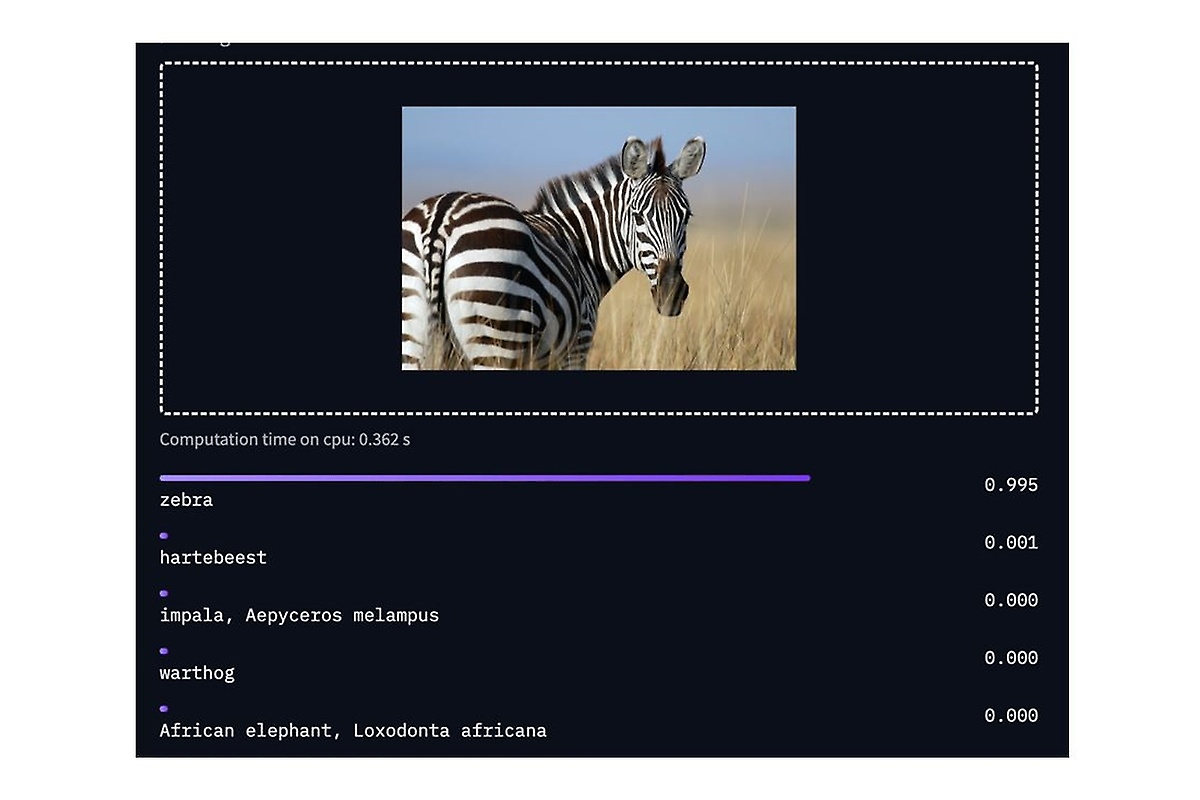 Bilderkennung eines Zebras Bilderkennung eines Zebras