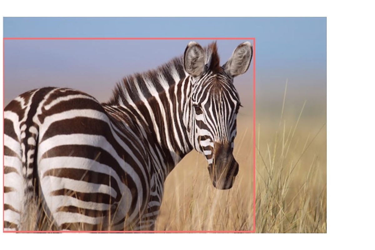 Object Detection am Beispiel Object Detection am Beispiel