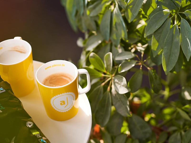 yellow mugs yellow mugs