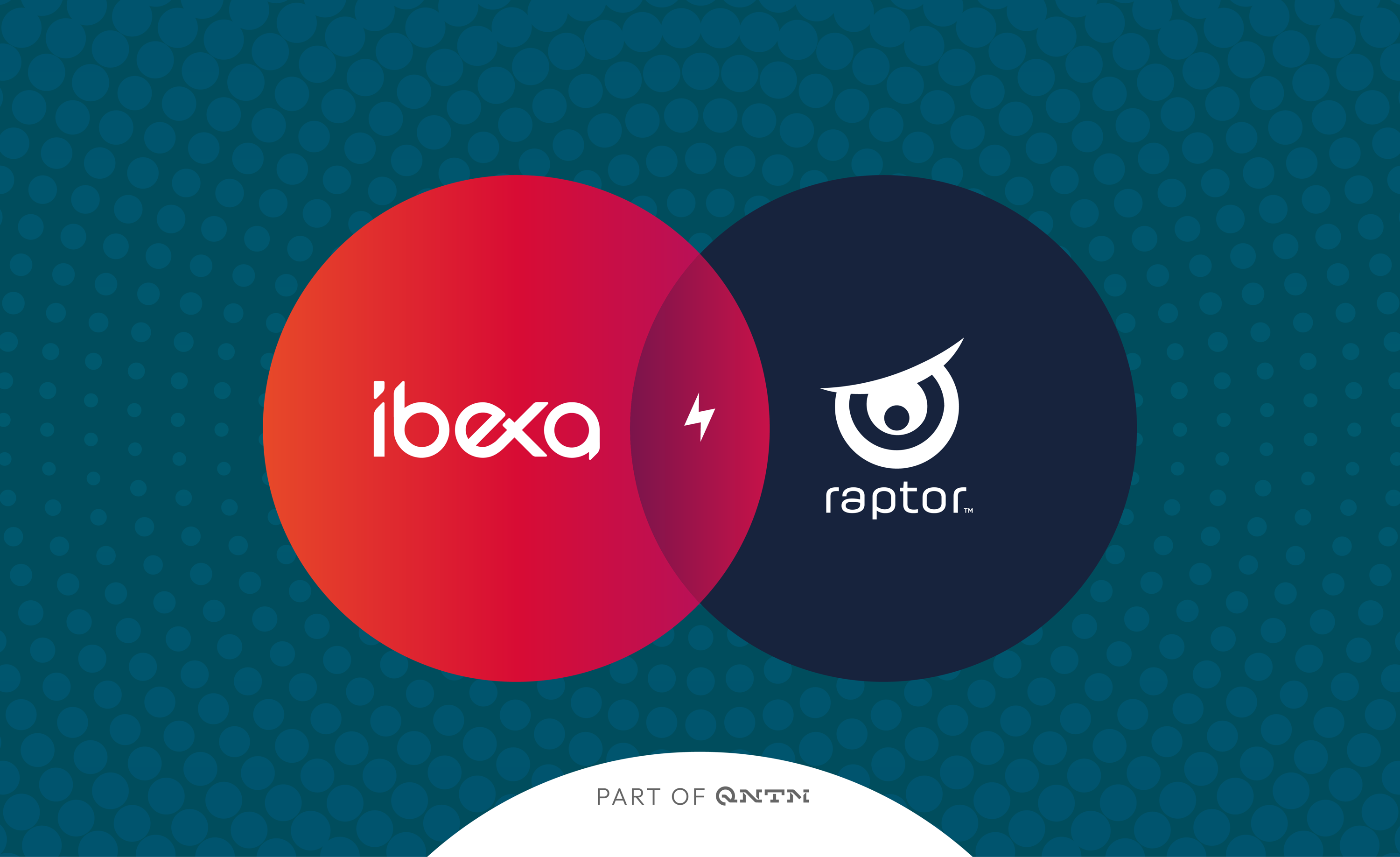 ibexa / raptor 